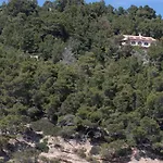 Nsm Carlotta E Guarda Che Mare In Vieste - Gargano- Puglia *