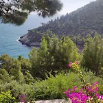 Nsm Carlotta E Guarda Che Mare In Vieste - Gargano- Puglia * Pugnochiuso