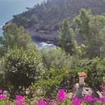 Nsm Carlotta E Guarda Che Mare In Vieste - Gargano- Puglia Villa Pugnochiuso