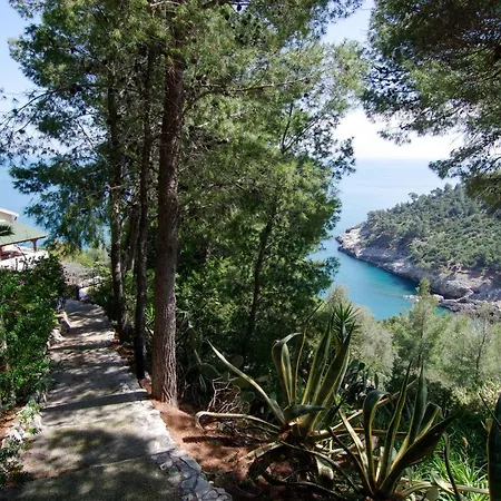 Nsm Carlotta E Guarda Che Mare In Vieste - Gargano- Puglia Villa *