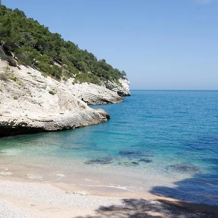 Nsm Carlotta E Guarda Che Mare In Vieste - Gargano- Puglia Pugnochiuso